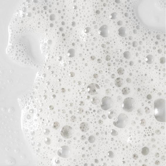 Bi Weekly Treatment Membership